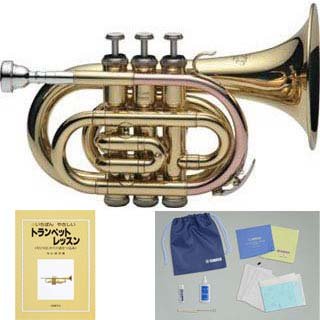 Amazon.co.jp: J.Michael/Jマイケル TR-350PL ヤマハお手入れ